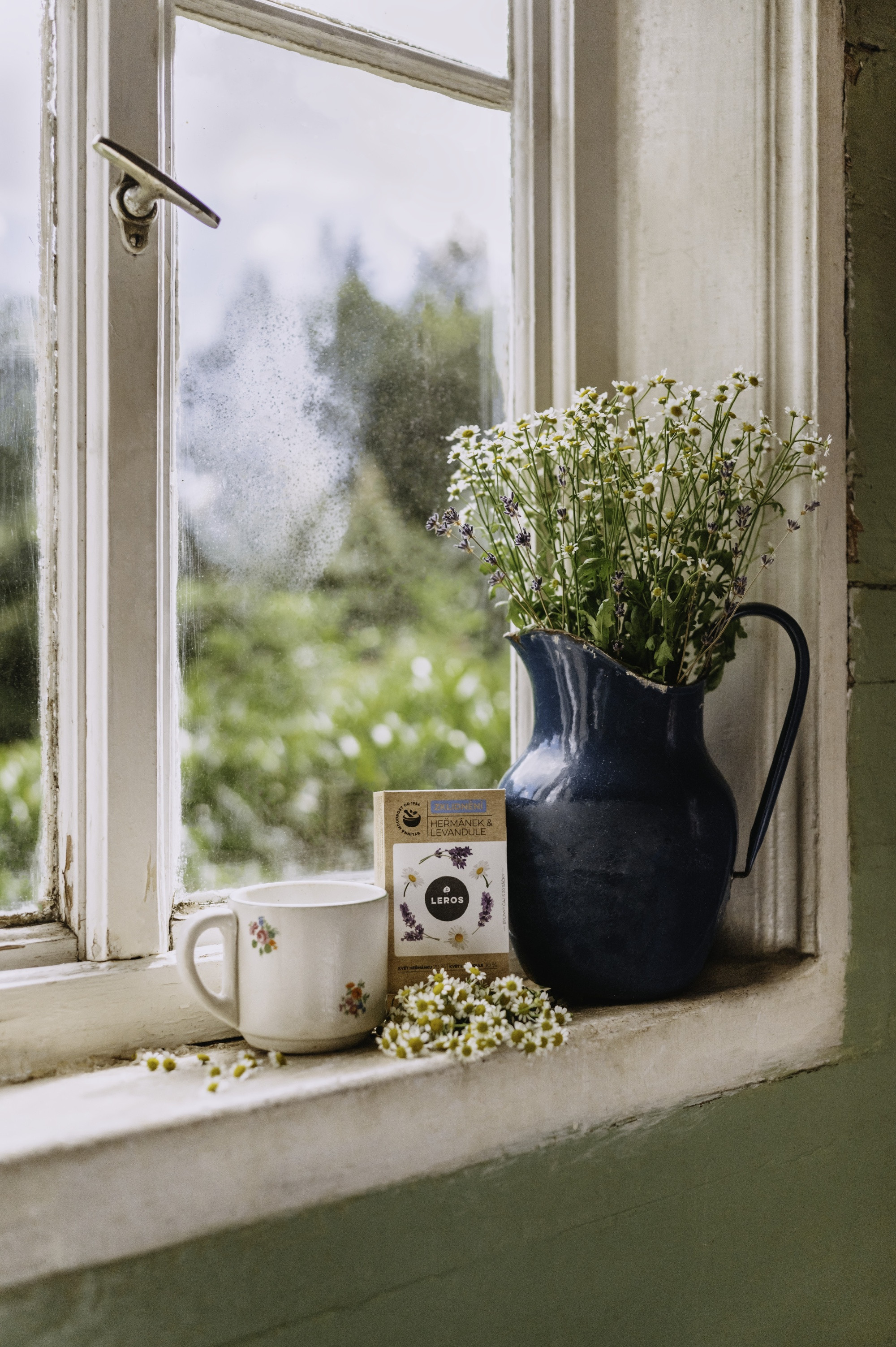 Kofola zažila rekordní léto, spotřebitelé byli věrni tradičním značkám 